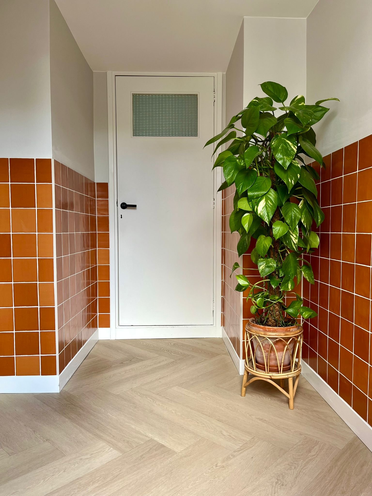 SENSE tegel 13X13 cm COTTO