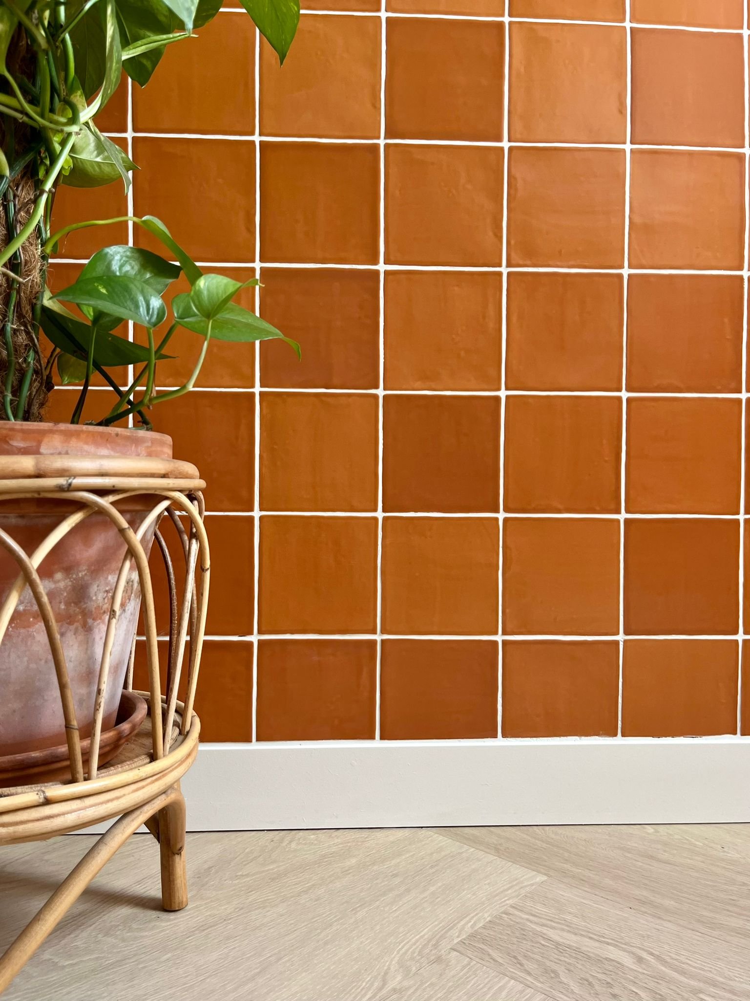 SENSE tegel 13X13 cm COTTO