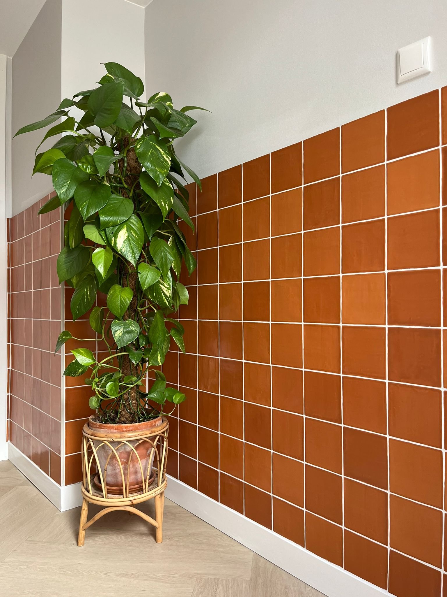 SENSE tegel 13X13 cm COTTO